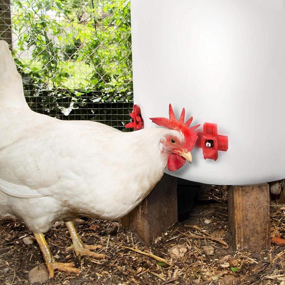12 Pcs Automatic Chicken Waterer Hens Quail Birds Drinking Bowls Chicken Coop Chick Nipple Drinkers Poultry for Animal Supplies