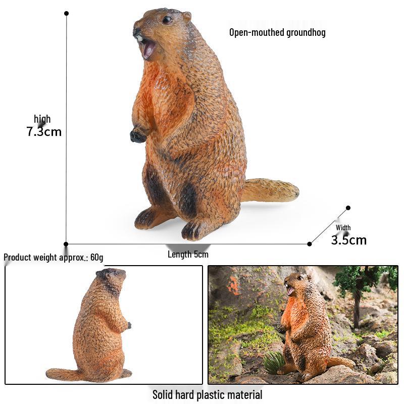 Children's Cognitive Rodent Simulation Toy: Chipmunk, Marmot, Squirrel, Guinea Pig Models