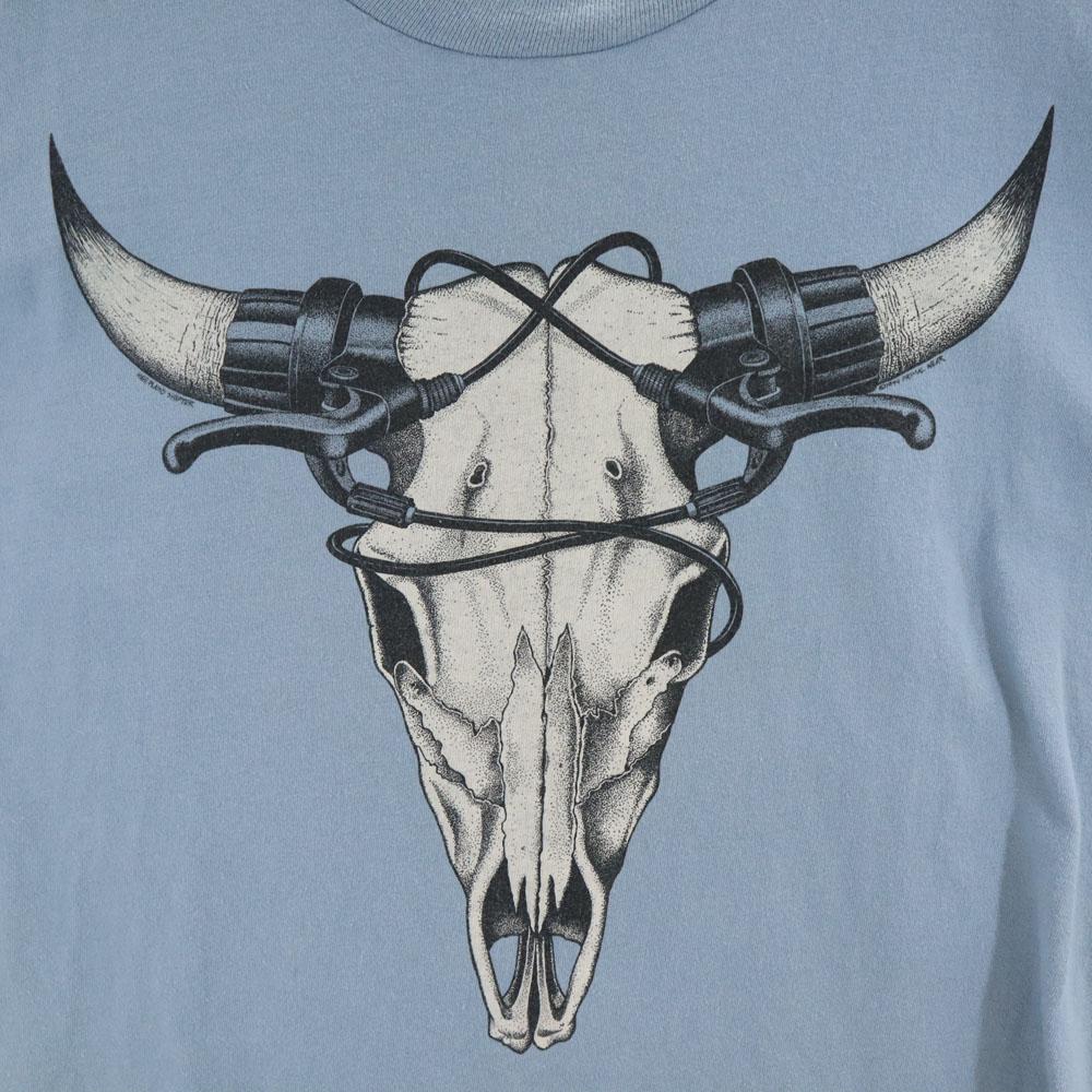 HANES 90s Made In USA Old Print Short Sleeve T-shirt XL Blue Men's Used