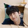 Чехол для подушки JJi CChang Wook, шелковистый, короткий плюш, двусторонний, с принтом, для дивана, все сезоны, декор для дома, подарок