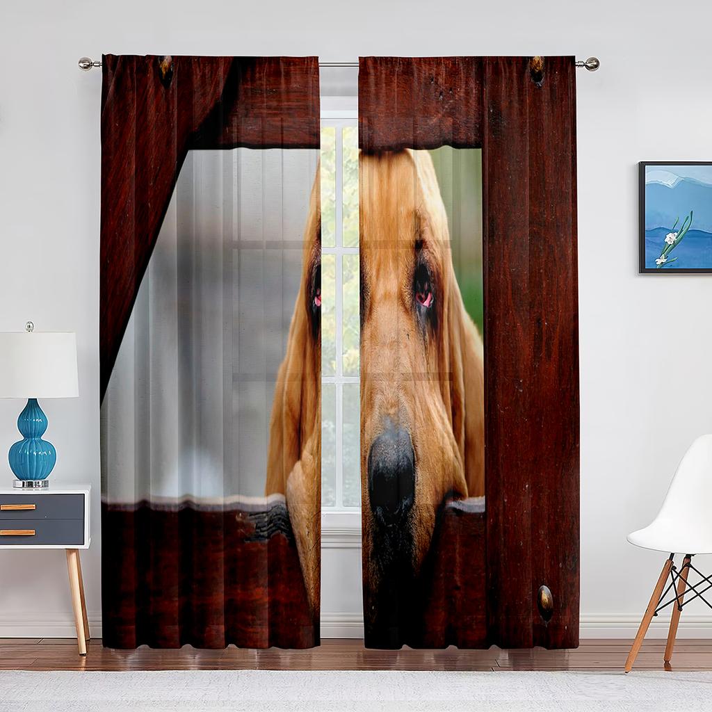 Тюлевые шторы с изображением собаки, австралийской овчарки, розовыми цветами для декора гостиной, спальни, прозрачные прозрачные занавески из вуали