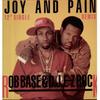 12inch Record ROB BASE & DJ E-Z ROCK - Joy And Pain (Remix) PRO7247 Profile Records 1989 US Rap & Hip-Hop/R&B Used