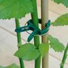 30PCS Plant Clips Reusable Greenhouse Bracket For Fixed Plants Vine Flower Seedling Tomatoes Support Garden Supplies