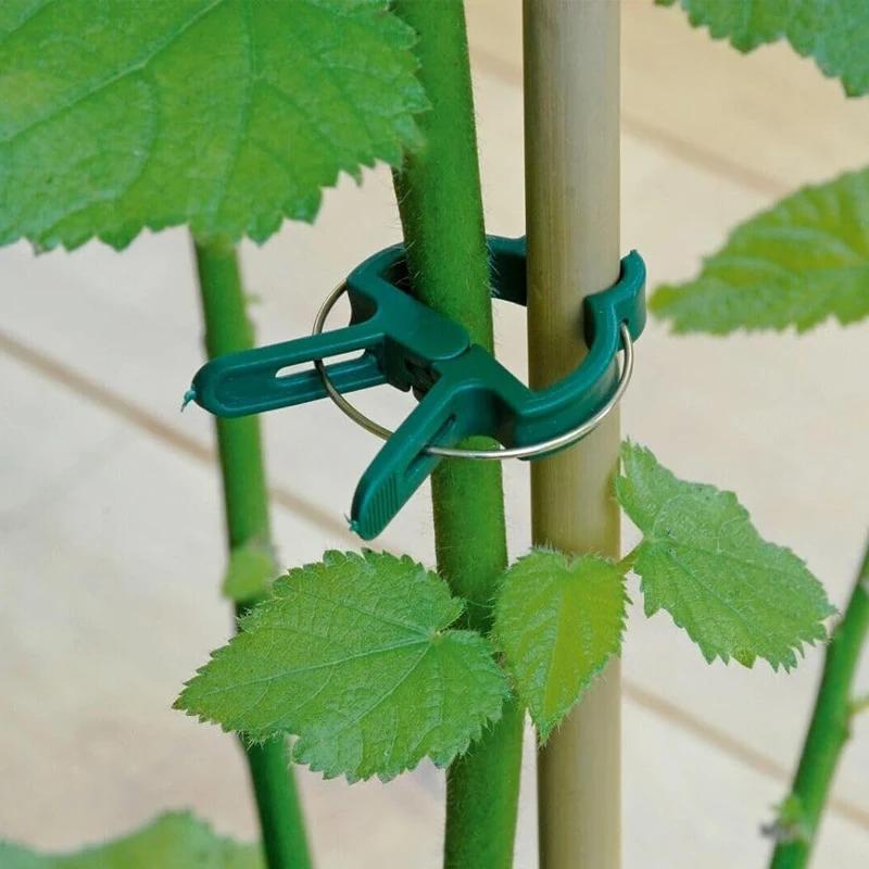 30PCS Plant Clips Reusable Greenhouse Bracket For Fixed Plants Vine Flower Seedling Tomatoes Support Garden Supplies