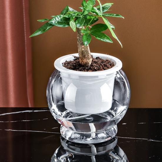 Аквапонный аквариум для рыбок петушков Прозрачный пластиковый ударопрочный горшок Экосистема Аквариум Настольная аквапонная система для домика рыбок петушков Комнатные растения