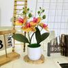 Phalaenopsis Flowers Artificial Decorative Plant For Home And Decoration Event