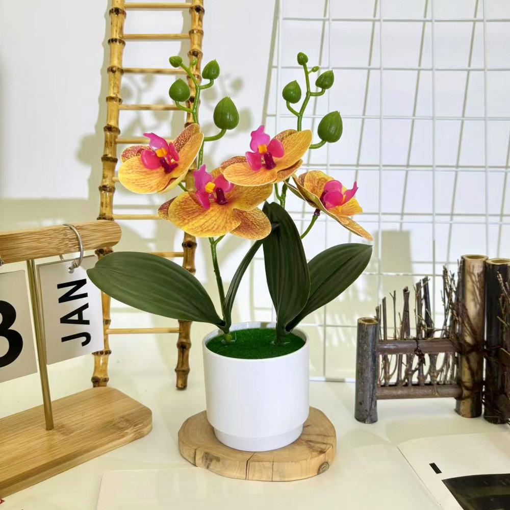 Phalaenopsis Flowers Artificial Decorative Plant For Home And Decoration Event