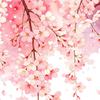 Cherry Blossom Floral Window Clings Spring Watercolor Hanging Flower Vine Butterflies Glass Door Decals Reusable Window Sticker for Home