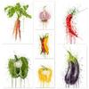 Simple Watercolor Vegetables Botanical Canvas Painting Wall Art Pictures Food Posters Art Prints Living Room Kitchen Home Decor
