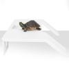 Double Ladder Turtle Climbing Platform with Suction Cup Turtle Basking Terrace  Home