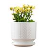 Nordic Style White Ceramic Planter Set