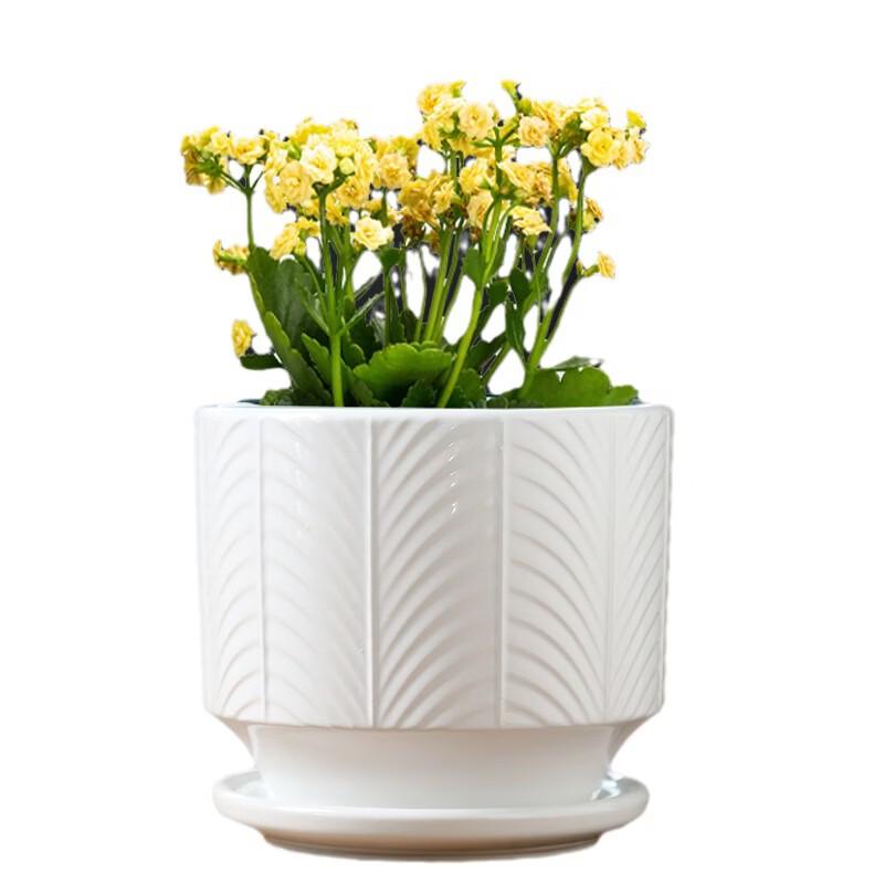 Nordic Style White Ceramic Planter Set