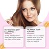 No-rinse dry hair spray hair oil control fluffy refreshing hair care high skull air sense bangs spray 1