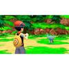 Nintendo Pokémon Brilliant Diamond video game blue