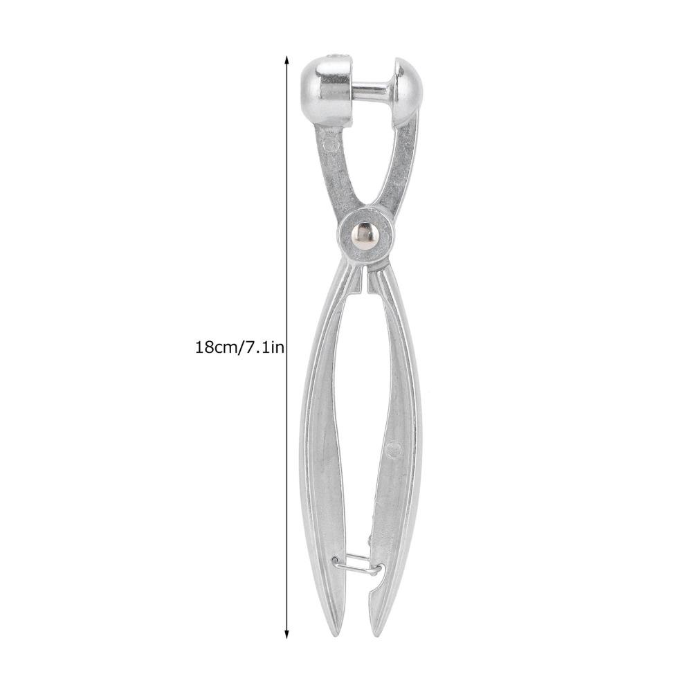 Aluminum Alloy Cherry Pitter with Lock Olive Core Remover Fruit Corer Food Preparation