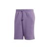 Всесезонные флисовые шорты, однотонные, с высокой талией, на шнурке, повседневные шорты для мужчин, фиолетовые IJ6900