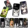 Чехол для Apple iPhone 16 15 14 Plus 13 12 Mini 17 Pro Max + ProMax 16E Air 16+ 15+ Coque Чехол для телефона Котенок Кошка