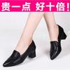 2025 Spring and Autumn New High Heels Women's Middle Heel Single Shoes Soft Leather Shallow Mouth Soft Leather Pointed Thick Heel