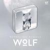 TOTH6Y - 1ST PROJECT [WOLF] Kit VER. Release Date: 2024.11.13
