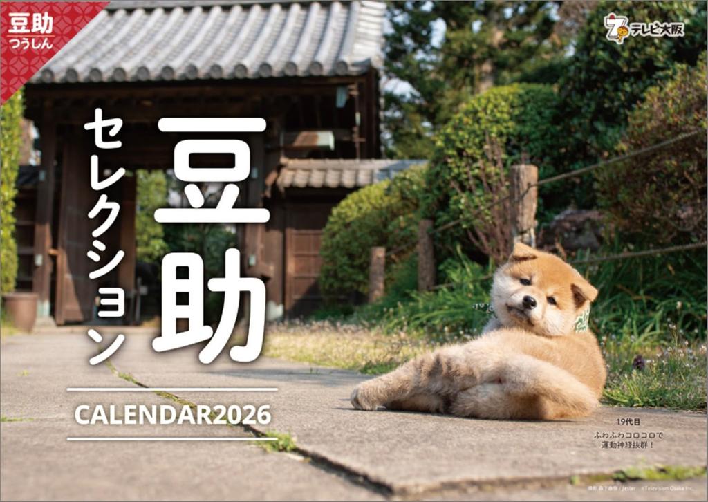 Настенный календарь Hagoromo Mamesuke Selection 2026 CL26-0396