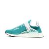 Pharrell x NMD Human Race Dash Green Q46466