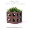 Aquatic Plant Moss Hideaway: Real Plant Jar for Fish & Shrimp