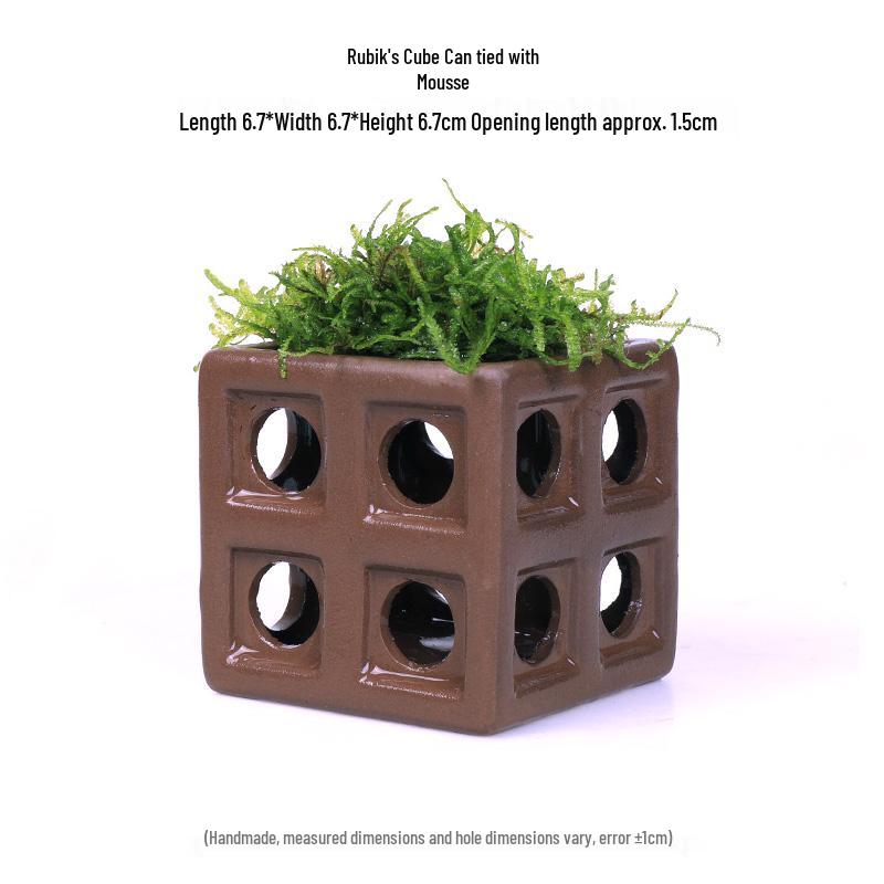 Aquatic Plant Moss Hideaway: Real Plant Jar for Fish & Shrimp