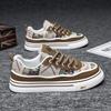 New Spring Men's Shoes Breathable Canvas Shoes Printed Guochao Board Shoes Trendy Versatile Platform Men's Casual Shoes