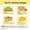 Fresh Hainan Golden Phoenix Mangoes, 5 Jin Pack