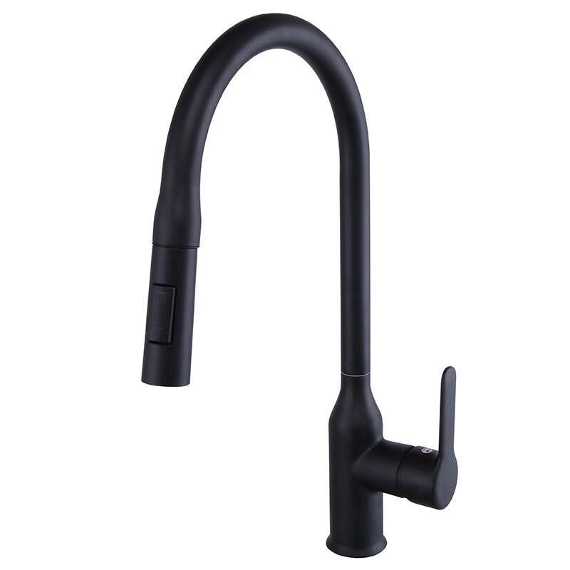 OEING Brass Pull-Out Kitchen Faucet