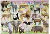 35-piece Children's Puzzle with Animals [Picture Puzzle]