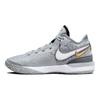 Nike Увеличить LeBron NXXT Gen Wolf Grey Мужские кроссовки Белый Железно-Серый Черный DR8784-004