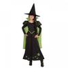 Wizard Of Oz Girls Wicked Witch Of The West Costume