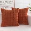 Solid Color Plush Double-Sided Pillowcase Corduroy Cushion Cover Decorative Sofa Bed Head Lumbar Support Pillowcase Set Of Two