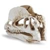Resin Dinosaur Skeleton Aquarium Decoration Dinosaur Skull Skeleton Ornament Fish Tank Terrarium Decor Halloween Decoration
