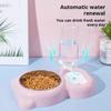 Detachable Cat Automatic Feeder Dual-purpose Pet Bowl  Water Supply Accessories