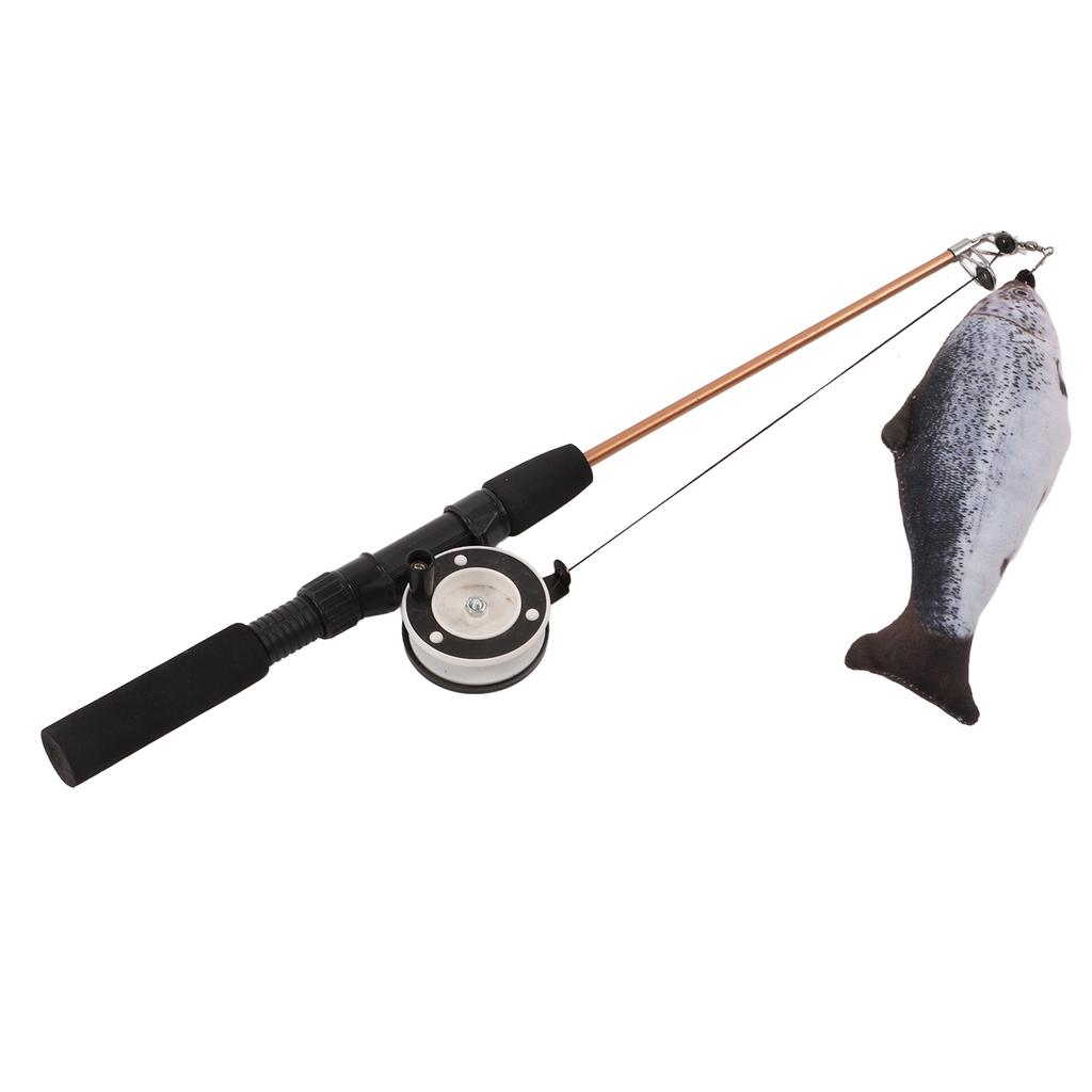 Retractable Cat Teaser Wand Toy Interactive Fishing Rod with Simulation Fish for Cats(Salmon