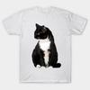 T Shirt Women Cat Lady Tshirt Harajuku Print Kawaii Tshirt Summer Short Sleeve Female T-Shirt Top Tee