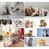 5D DIY алмазная живопись животное набор для вышивки крестиком полная алмазная вышивка кошка горный хрусталь художественная картина мозаика украшение дома подарок