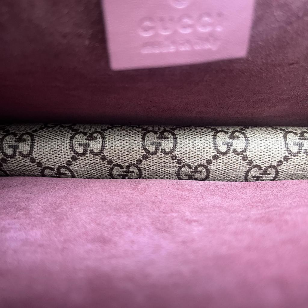 [Pre-Owned] Dionysus GG Blooms Tiger Head Buckle Logo Camellia Print Chain Canvas And Leather Crossbody Bag - Very Good #KGNMN9