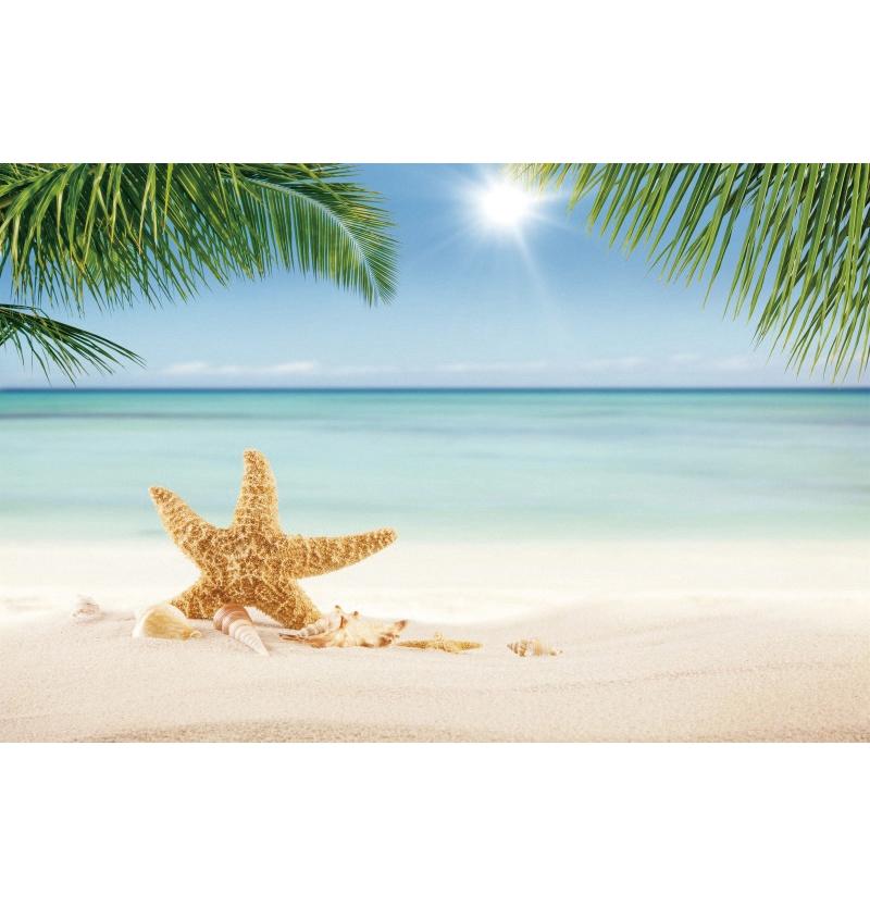 Tropical Beach Backdrop Decoration Seashell Starfish Summer Vacation For Pool Party Celebration Backgrounds For Photographs