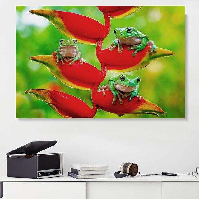 Картина на холсте с животными, древесная лягушка, смеющиеся постеры и принты, пейзаж, настенные художественные фотографии для гостиной, домашний декор, без рамки