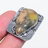 Natural Honey Dendritic Gemstone 925 Sterling Silver Jewelry Ring Size 7 H9P43