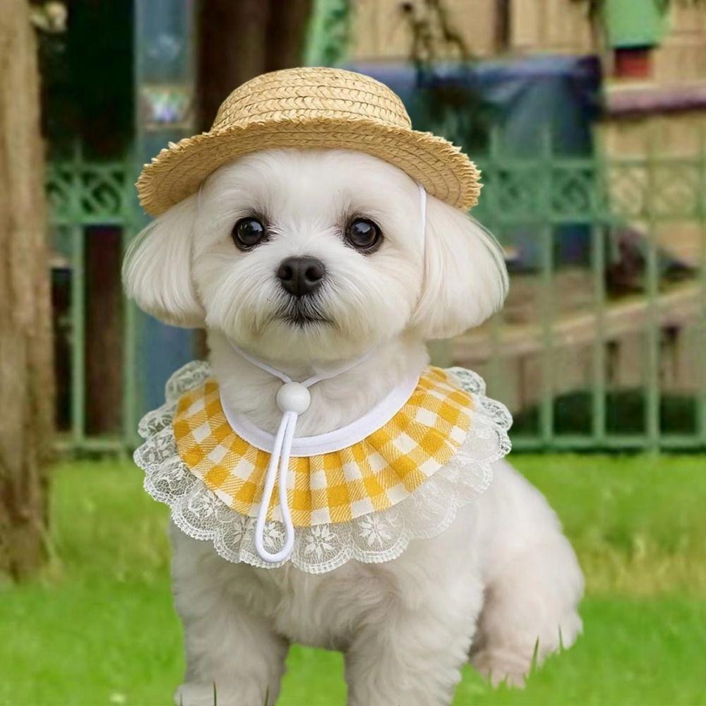 Смешной костюм гуся для крыльца, Костюм домашней птицы ручной работы, Шапка-гусь, Шарф, Аксессуары для ухода за уткой