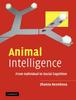 Книга Animal Intelligence : From Individual To Social Cognition