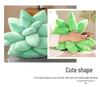 Succulent Plant Plush Pillow - Soft Doll Cushion Gift