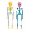 Skull Fridge Magnets with Movable Joints Halloween Poseable Skeleton Fridge