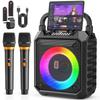 Karaoke Machine with Two Wireless Microphones, Portable Speaker with LED Lights for Kids and Adults, Supports Bluetooth/USB/TF/AUX for Party