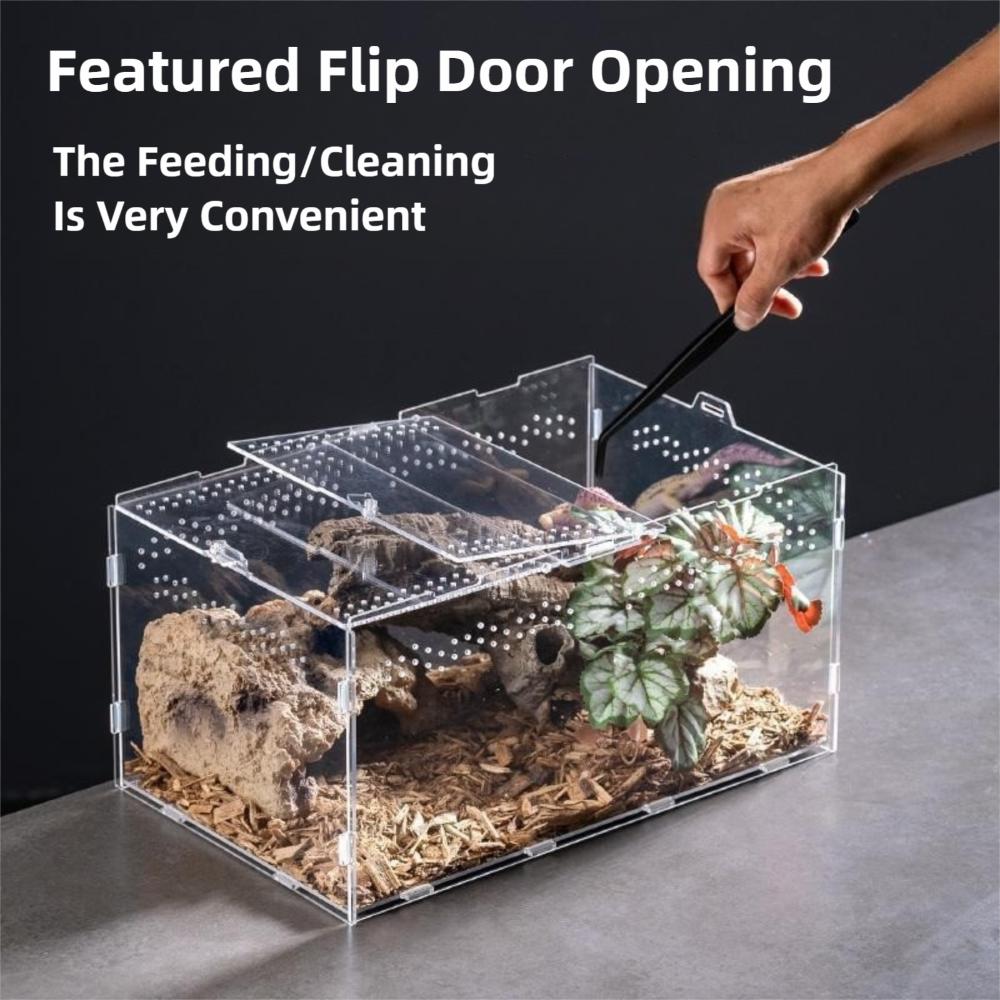 Anti-Escape Reptile Habitat Clear Spider Feeding Case Durable Lizard Breeding Box for Chameleon