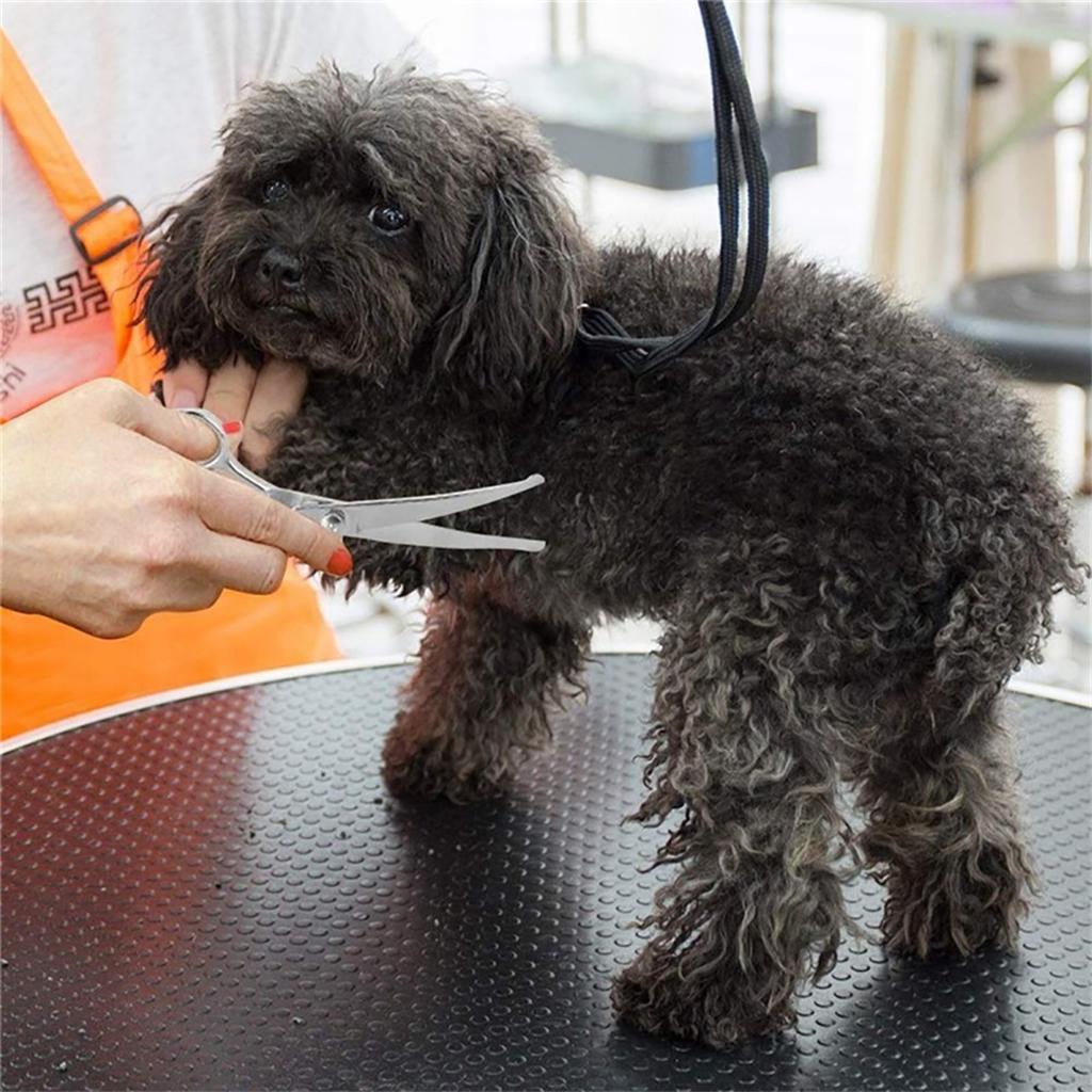 Ножницы для стрижки шерсти кошек и собак Профессиональные инструменты для стрижки шерсти питомцев Нержавеющая сталь Прочные Безопасные закругленные кончики Принадлежности для груминга питомцев